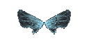 Wings of Elf +9