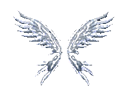 Wings of Soul