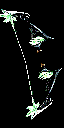 Albatross Bow +9